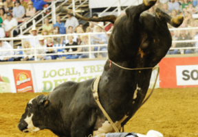 Image of Mesquite Championship Rodeo and Exhibit Hall