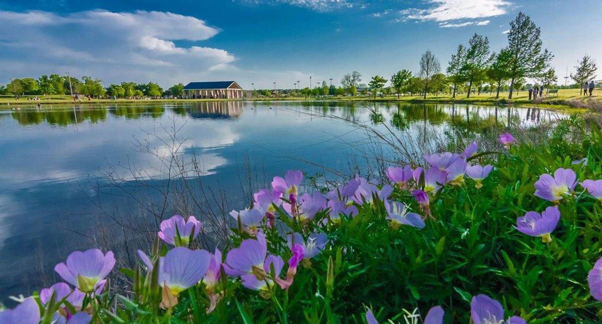 Discover the Best Parks in Plano: A Gateway to Outdoor Adventure ...