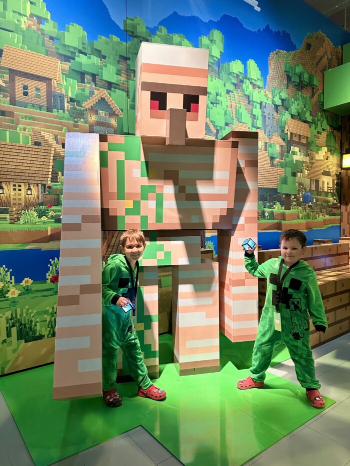 Minecraft Experience